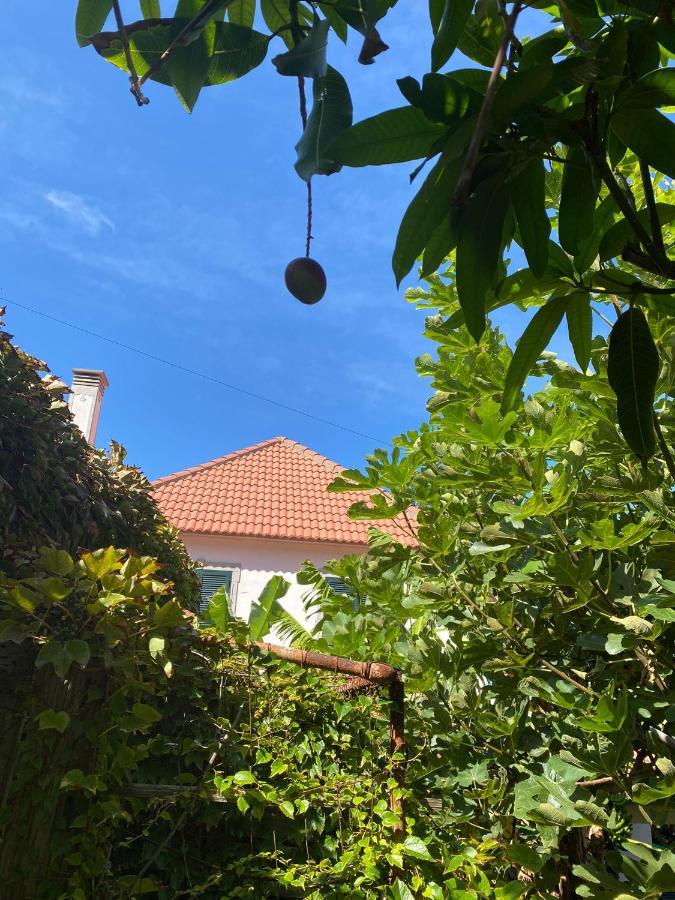 Avó Lucindinha House - Porto Moniz Villa Exterior foto